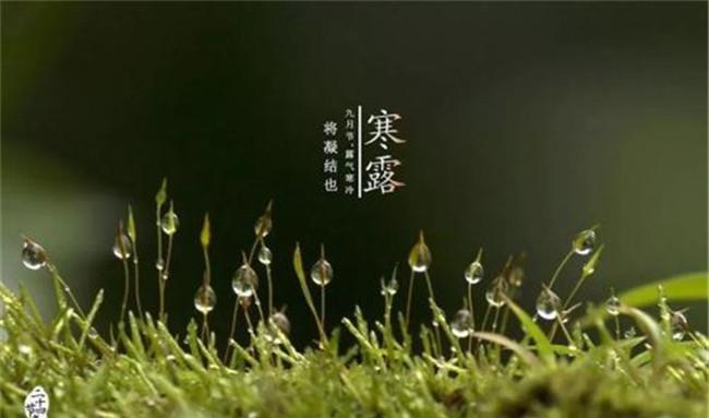 寒露的气候特征