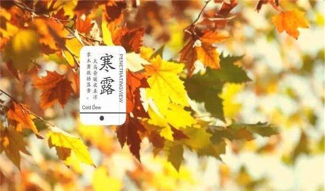 寒露与农业生产