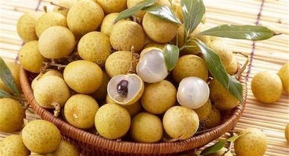 保健食法