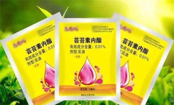 芸苔素如何分辨真假