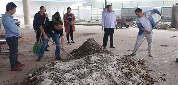 双孢菇的培养料配方