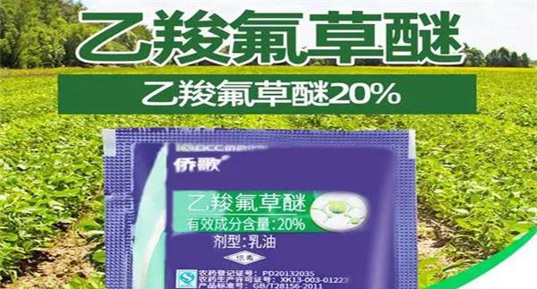 乙羧氟草醚的使用范围与注意事项