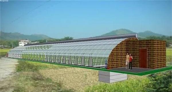 建造日光温室对周边环境条件
