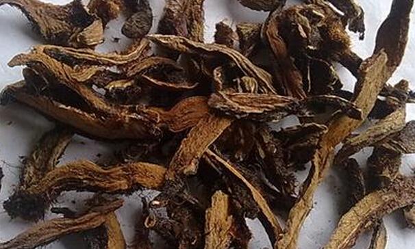 骨碎补的功效与作用