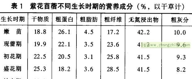 紫花苜蓿的营养价值