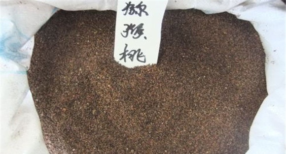 猕猴桃种子