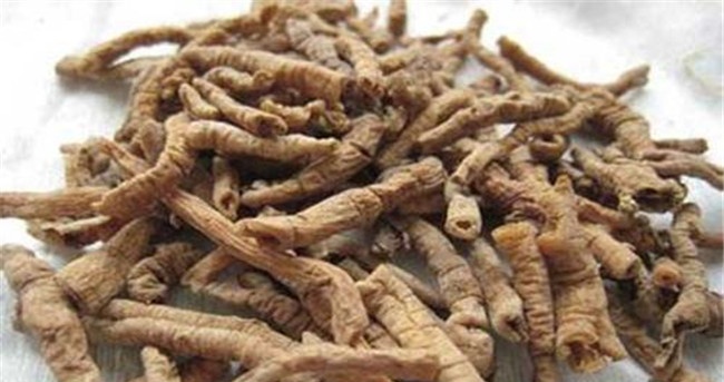 远志的用法、用量与禁忌