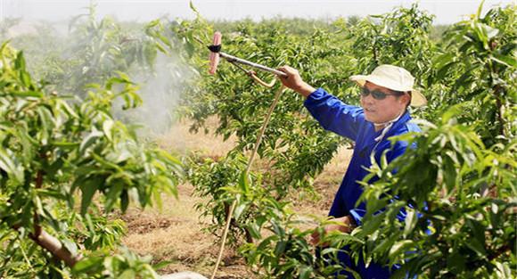 生物农药的使用范围
