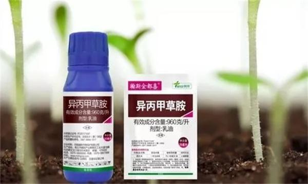酰胺类除草剂有哪些品种