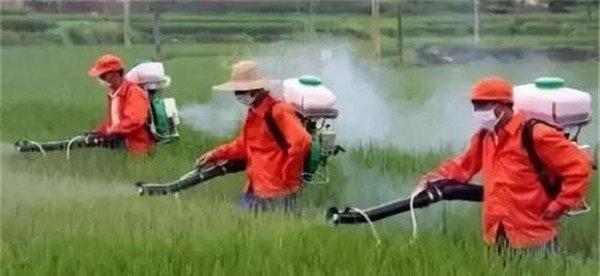 农药混合使用应注意哪些问题