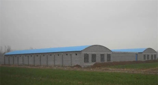 建造肉鸡鸡舍应该注意哪些问题