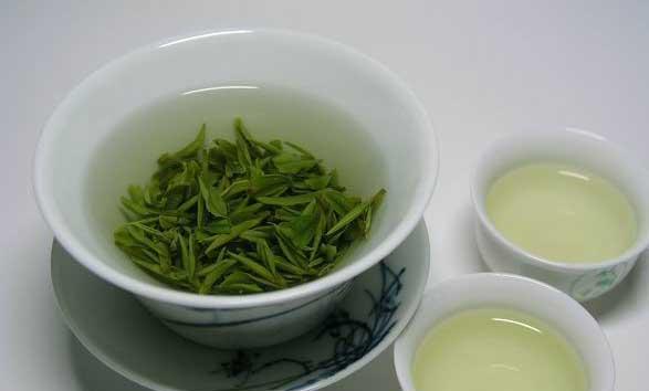 茶叶种植方法