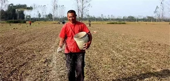 合理整地，施足底肥