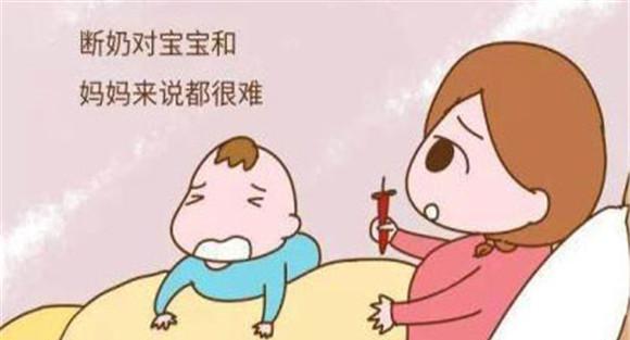 断奶时要逐渐进行
