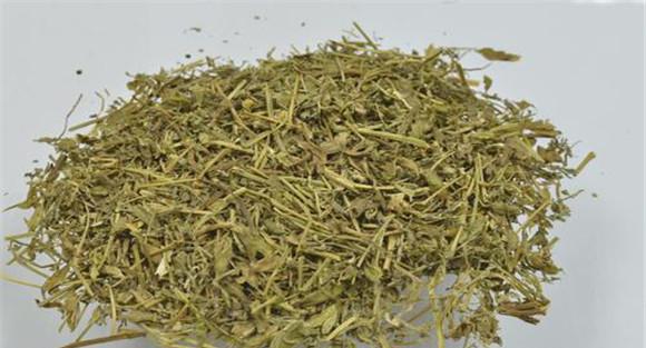 老鹳草的临床应用