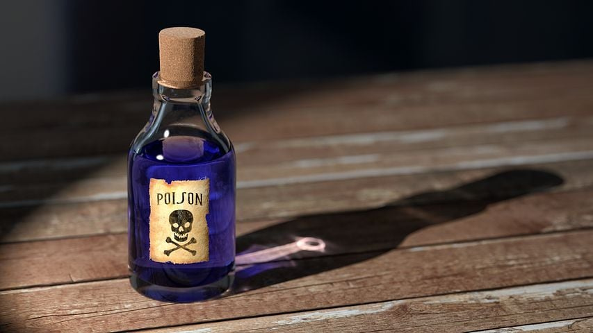 八角煤污病（煤烟病）的危害与防治