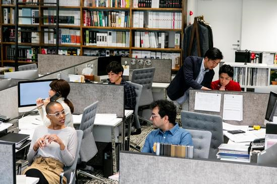 如何种植冬茬、早春茬荷兰豆