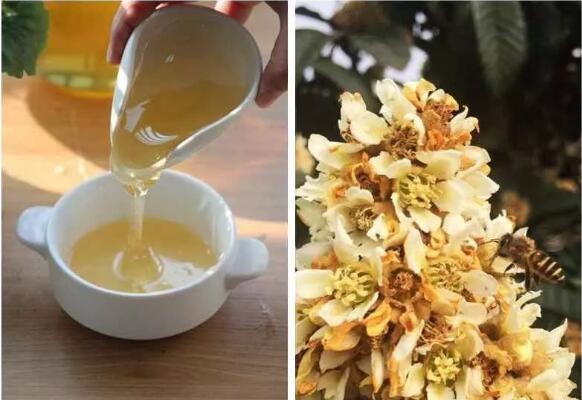 枇杷蜜的做法枇杷蜜怎么做