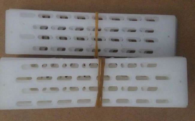 防逃片为什么关不住蜂王