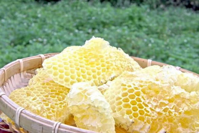 【蜜蜂知识】什么是蜜蜂巢脾