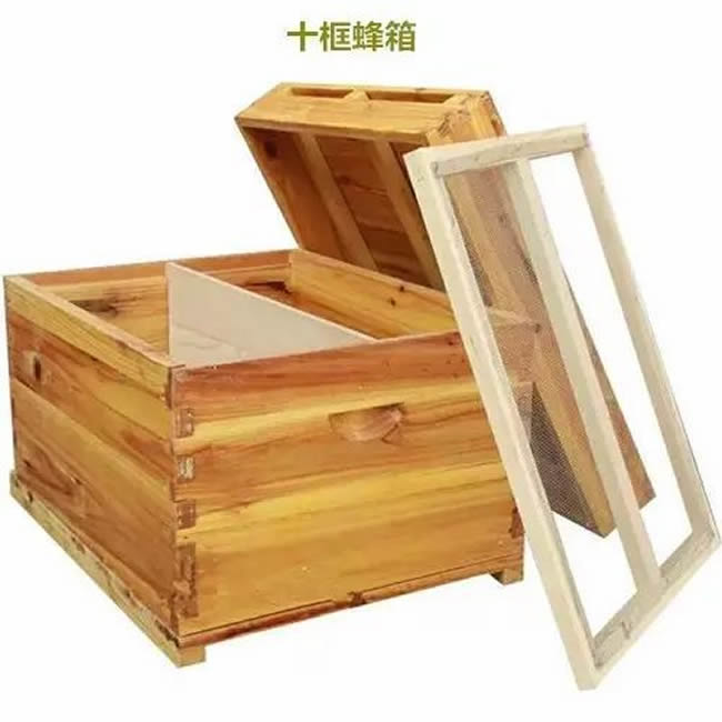 【蜜蜂知识】如何制作简单的蜂箱