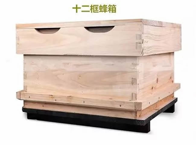 【蜜蜂知识】如何制作简单的蜂箱