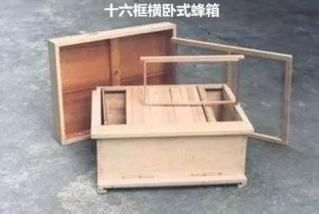 【蜜蜂知识】如何制作简单的蜂箱