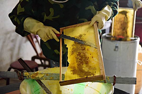 什么是摇蜜机