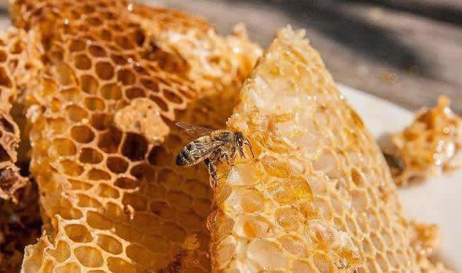 一块巢脾能产多少蜂蜜