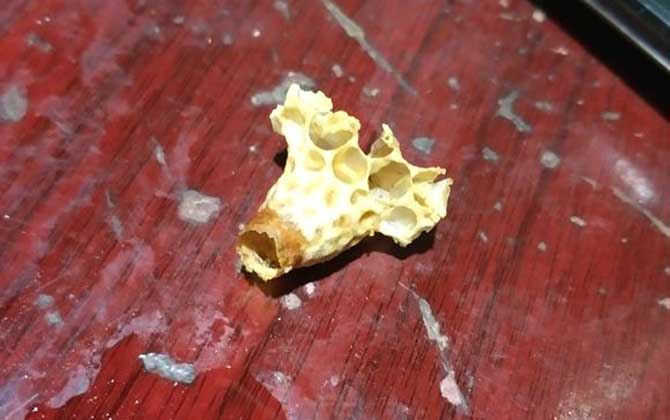 蜜蜂王台是怎么形成的
