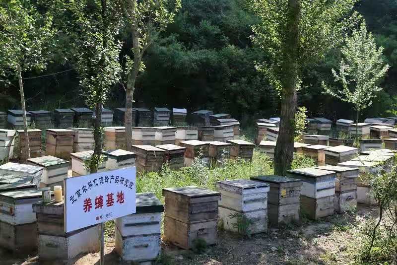 养蜂场与养蜂场之间应该多大距离