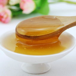 冬天蜜蜂喂什么东西最好